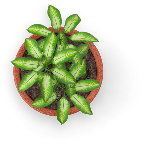 Image is not available